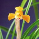 (주)금화 이미지