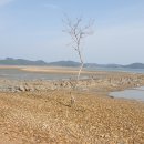 고파도해수욕장 티스토리