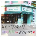캘리호스텔