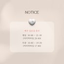 브로우바이슈 네이버블로그