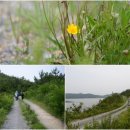 해넘이길 이미지