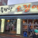 물만난오징어 이미지
