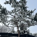 춘천 투인원 에어컨청소+통돌이세탁기 청소 봄맞이 대청소 (후기)