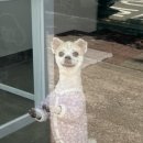 제이앤제이그루밍 이미지