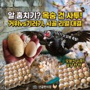 대신부화장 | 진안 시골생활 달걀 수확 이야기, 거위 의 위협과 기러기 알 회수 현실 후기