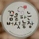 꿈을파는 버섯농장