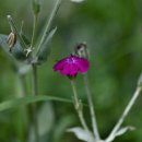 화암농장 이미지