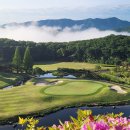 여주-0300 이미지