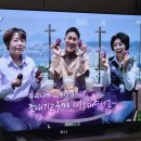 6시내고향