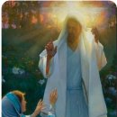 옥합결혼 이미지