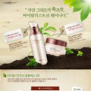 리필테라피 이미지