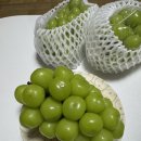 은애농장 이미지