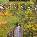 왕피천힐링팜