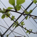 하은농원 이미지