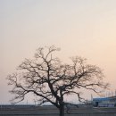 대포리경로당 네이버블로그