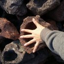 파란들농장 이미지