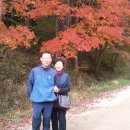 정경목장 이미지