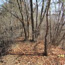 가제산 정상 이미지