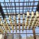 대구문화예술회관 미술관 | 대구문화예술회관 미술관 기획 기증작 특별전 '이음'