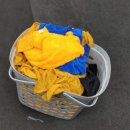 금오크리닝 이미지