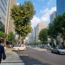 꼬마빌딩전문공인중개사사무소 이미지