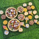 펫푸드스쿨 이미지