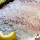 신) 일동 | [포천 일동 맛집] 신소래포구 로컬 가성비 횟집 후기