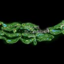 성골목장 이미지