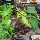 청양갈비&건강한쌈 | 청양맛집 채소가 싱싱하고 양도 푸짐했던 청양갈비&건강한쌈에서 식사하고 온 후기