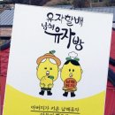 남해유치원 | 남해디저트추천 남해유자빵후기 남해유자빵본점