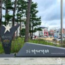 강릉 안목해변 커피거리 6월 감성 여행 이미지