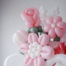 벌룬플라워 이미지