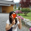 향촌민박 이미지