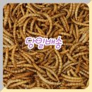 클라르떼 이미지
