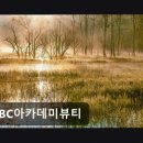 수나뷰티