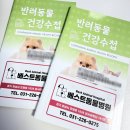행복동물병원 | 강아지 예방접종 및 보강접종 시기 총정리! 병점 동물병원 베스트동물병원 접종 후기🐾✨
