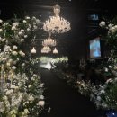 금암1동-14(삼성생명 앞) | 🕊️19. 웨딩홀 투어 Ⅰ 웨스턴 베니비스 영등포 상담후기 + 견적공유·한줄평·장단점