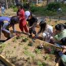 횡성초등학교 이미지