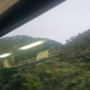 세븐일레븐 금석점 | 일상 / 대마도 1박 2일 - start (+하나투어)