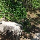 창원 최윤덕 유허지 이미지