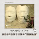 대원산소 | 일산피부관리 피부 속 독소를 지우는 시간 살롱드보떼 일산 리얼 후기