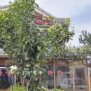 월롱역 앞 이미지