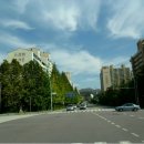 분당-361 이미지