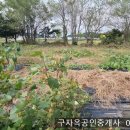 강화읍-15 이미지