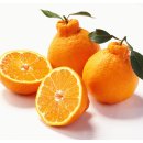 진도힐링하우스 이미지