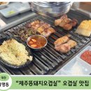 [대전 봉명동삼겹살 맛집] 제주똥돼지오겹살 2호점 솔직 후기(75만 유튜버 정육왕이 인정한 그 집)