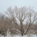 김도희의갈치창고 이미지