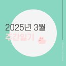 [주간일기]2025년 3월의 둘째주 일상🐉 (2025.03.10-2025.03.16)