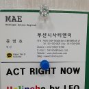 영어(원어민 중급회화A) 이미지