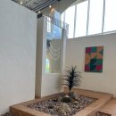 카페비스타 이미지